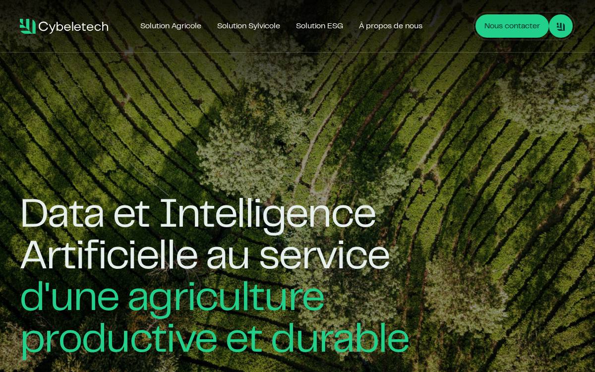 Cybeletech website preview
