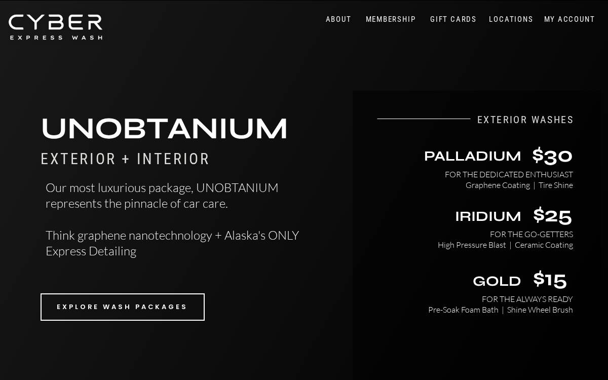 Cyber Consumer Services website preview