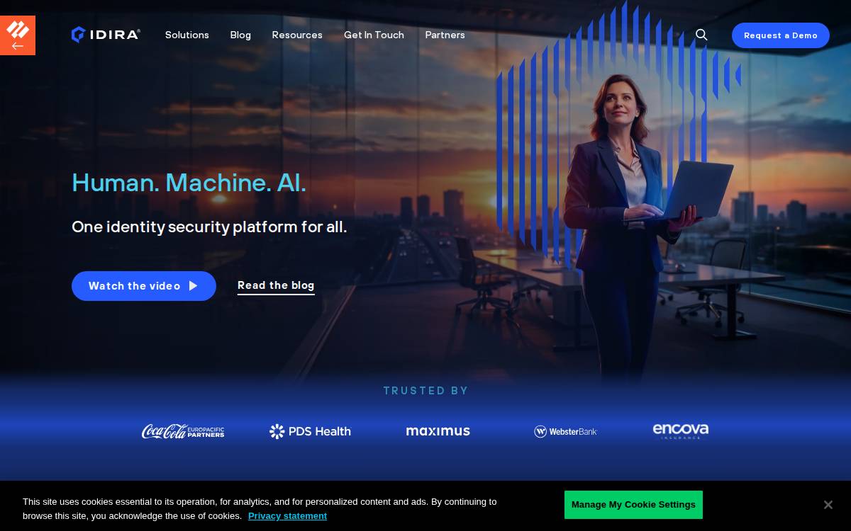 CyberArk website preview
