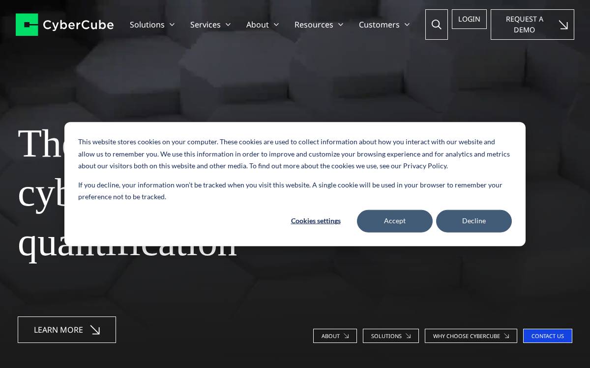 CyberCube website preview