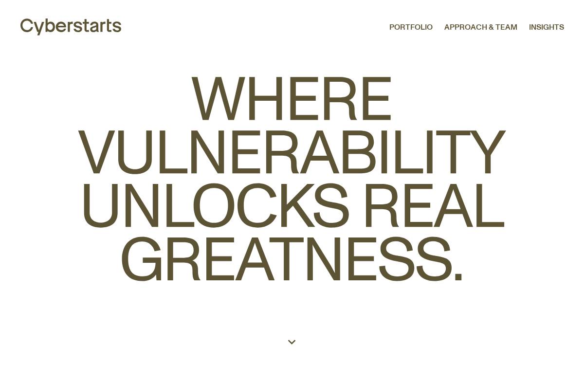 Cyberstarts website preview