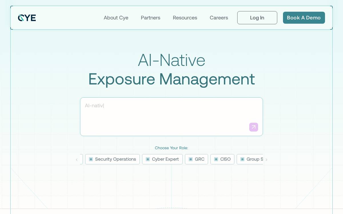 CYE website preview