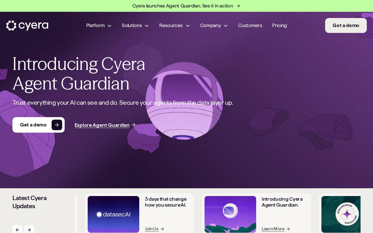 Cyera website preview