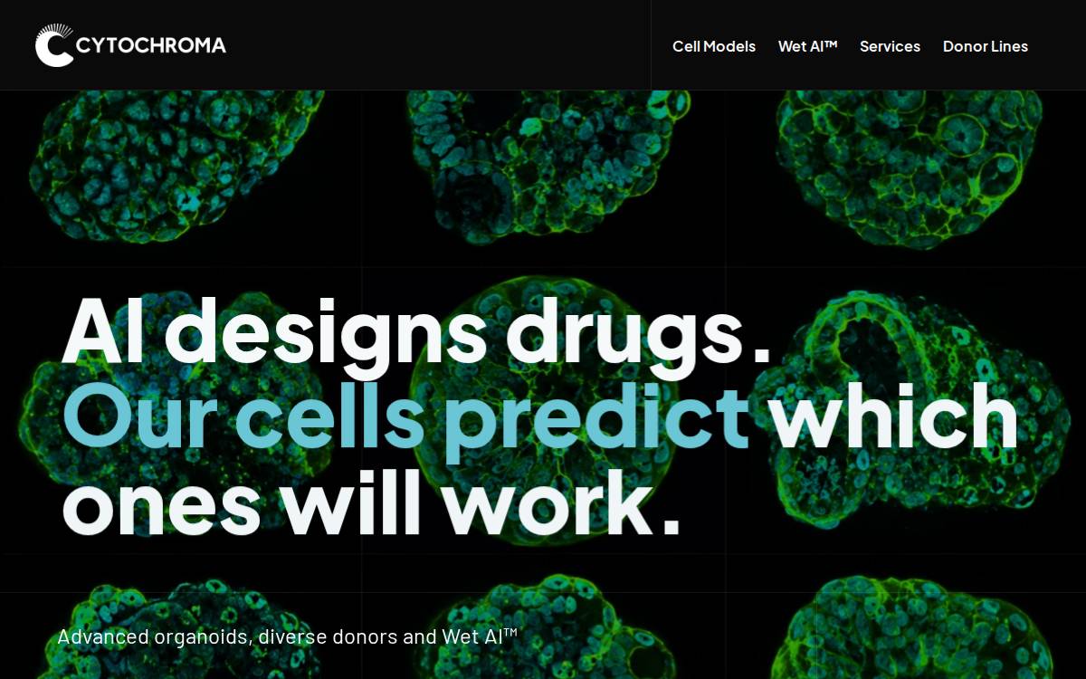 Cytochroma website preview