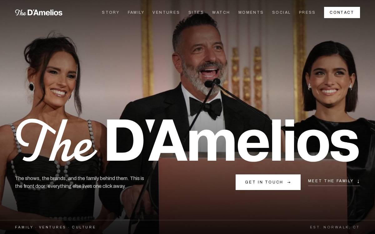D'Amelio Brands website preview