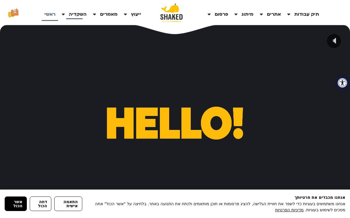 D&D by SHAKED website preview