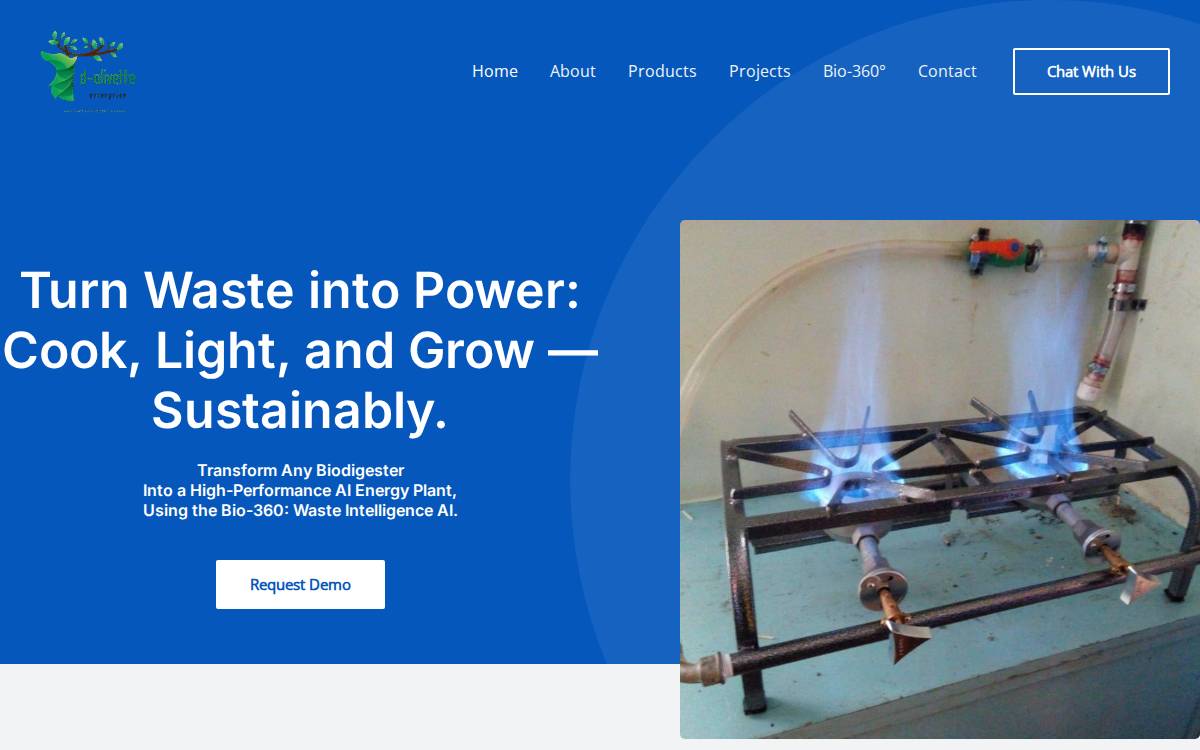 D-Olivette Solutions website preview