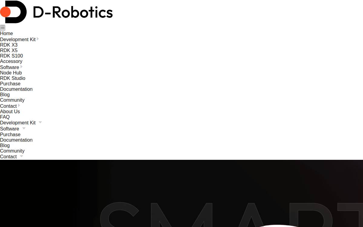 D Robotics website preview