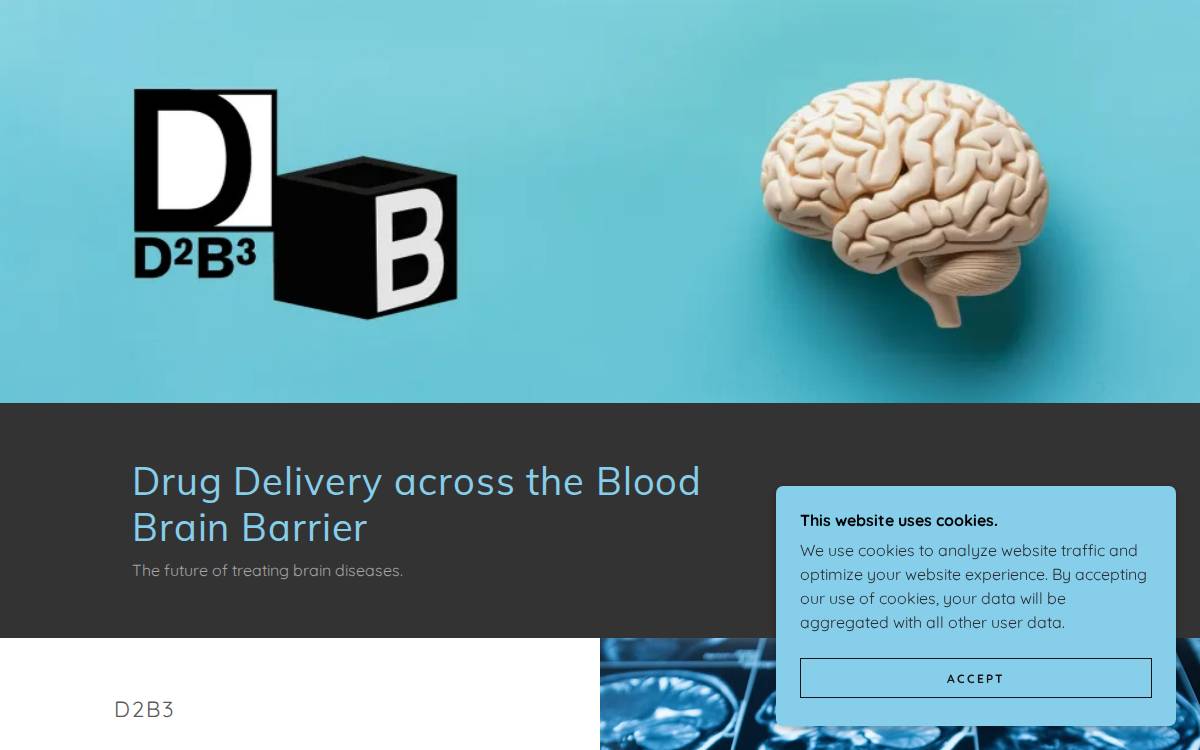 D2B3 website preview