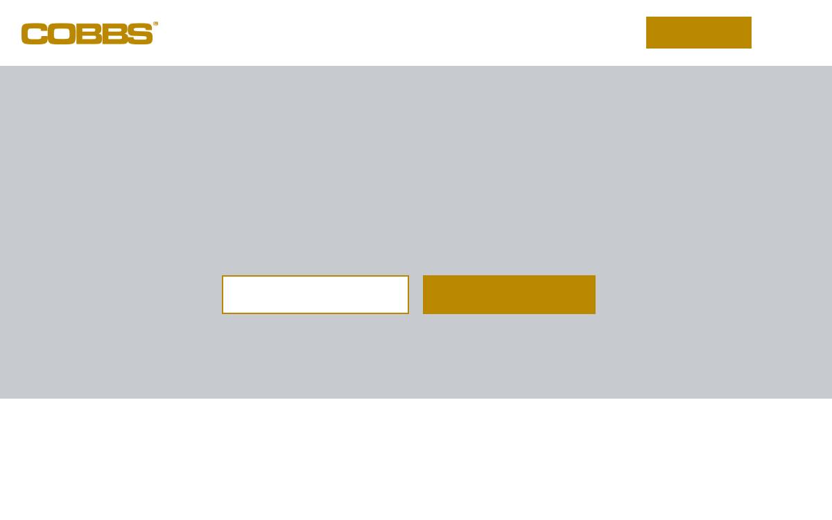 DACH website preview
