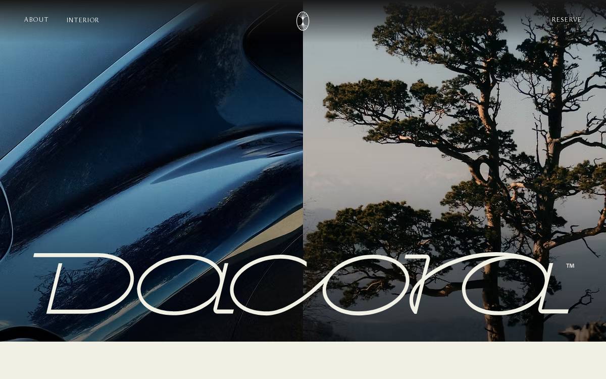 Dacora website preview