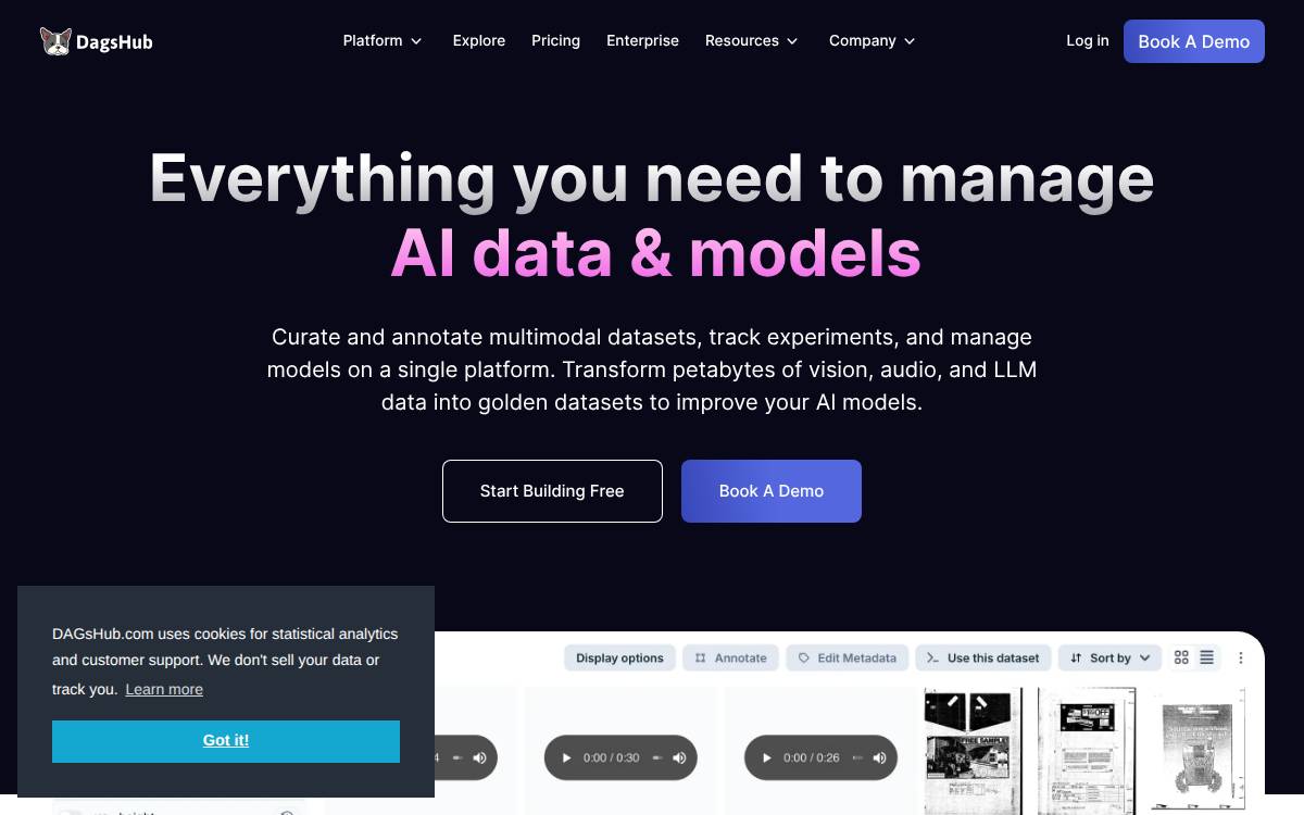 DagsHub website preview