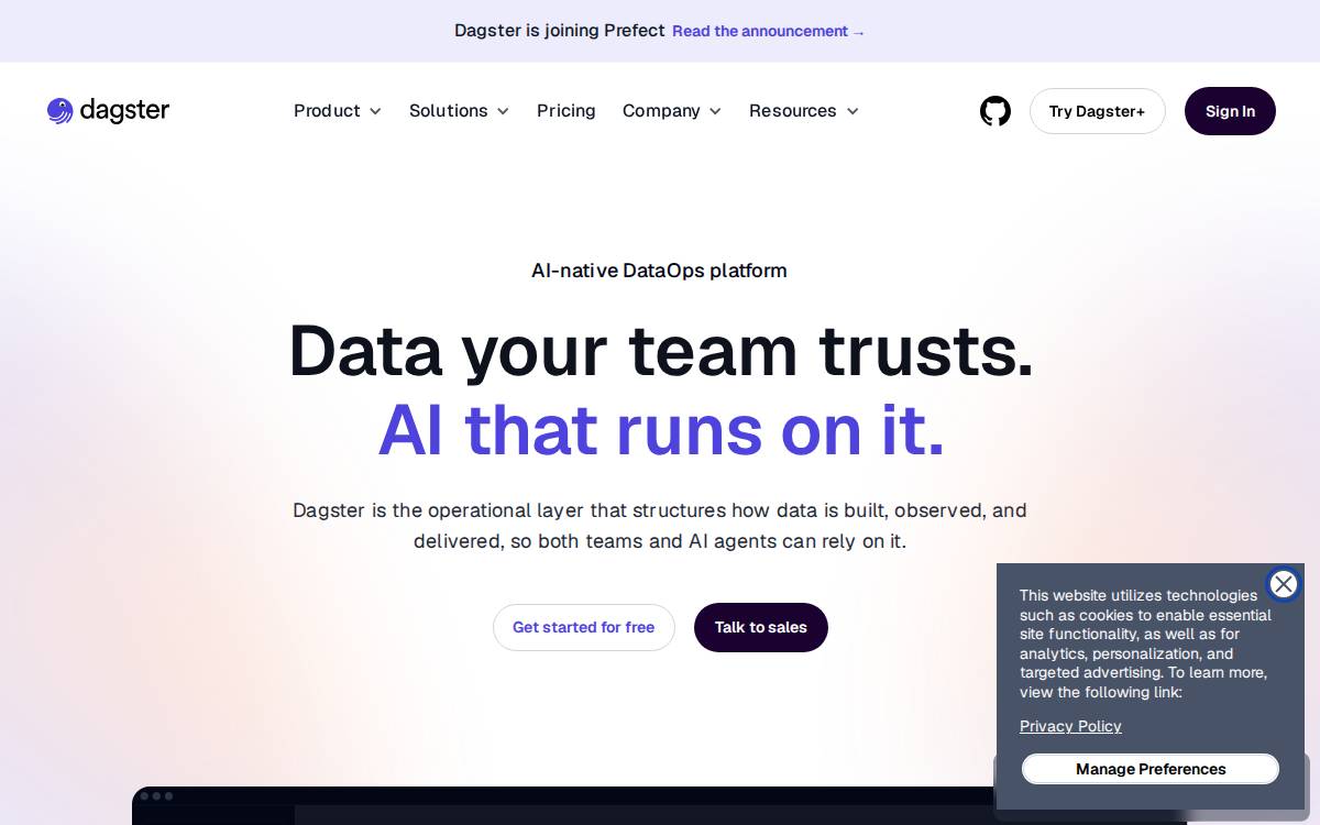 Dagster website preview