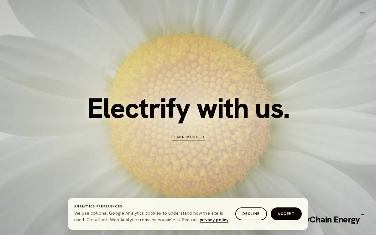 DaisyChain Energy website preview