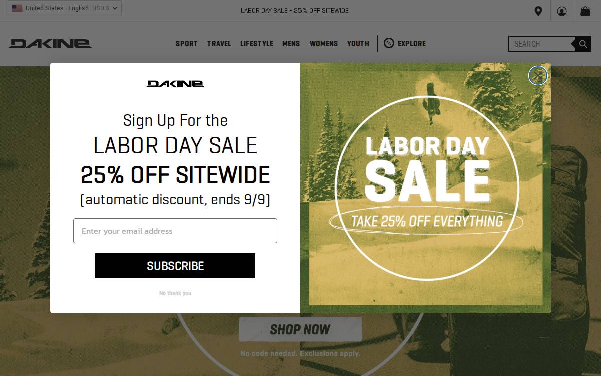 Dakine website preview