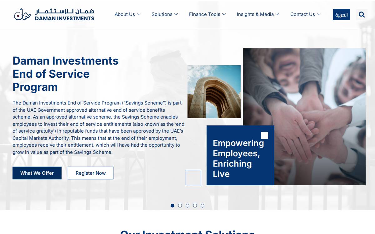 Daman Investments website preview
