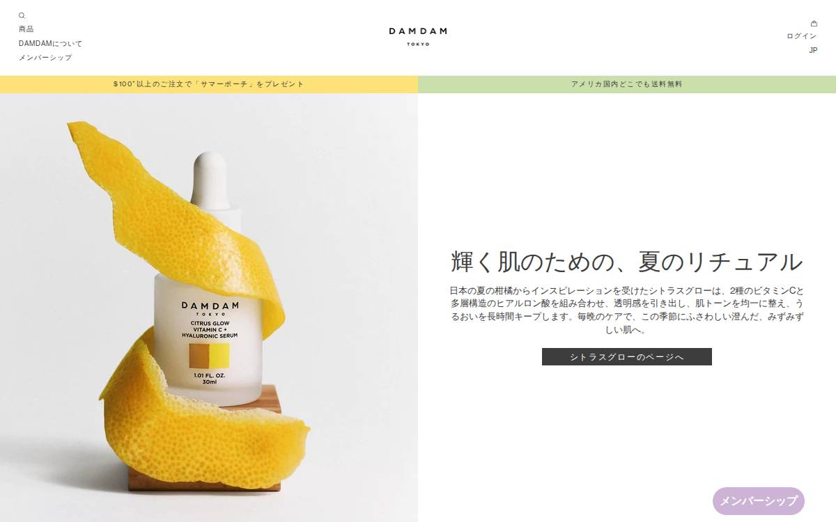 Damdam website preview