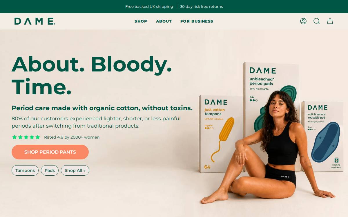DAME website preview