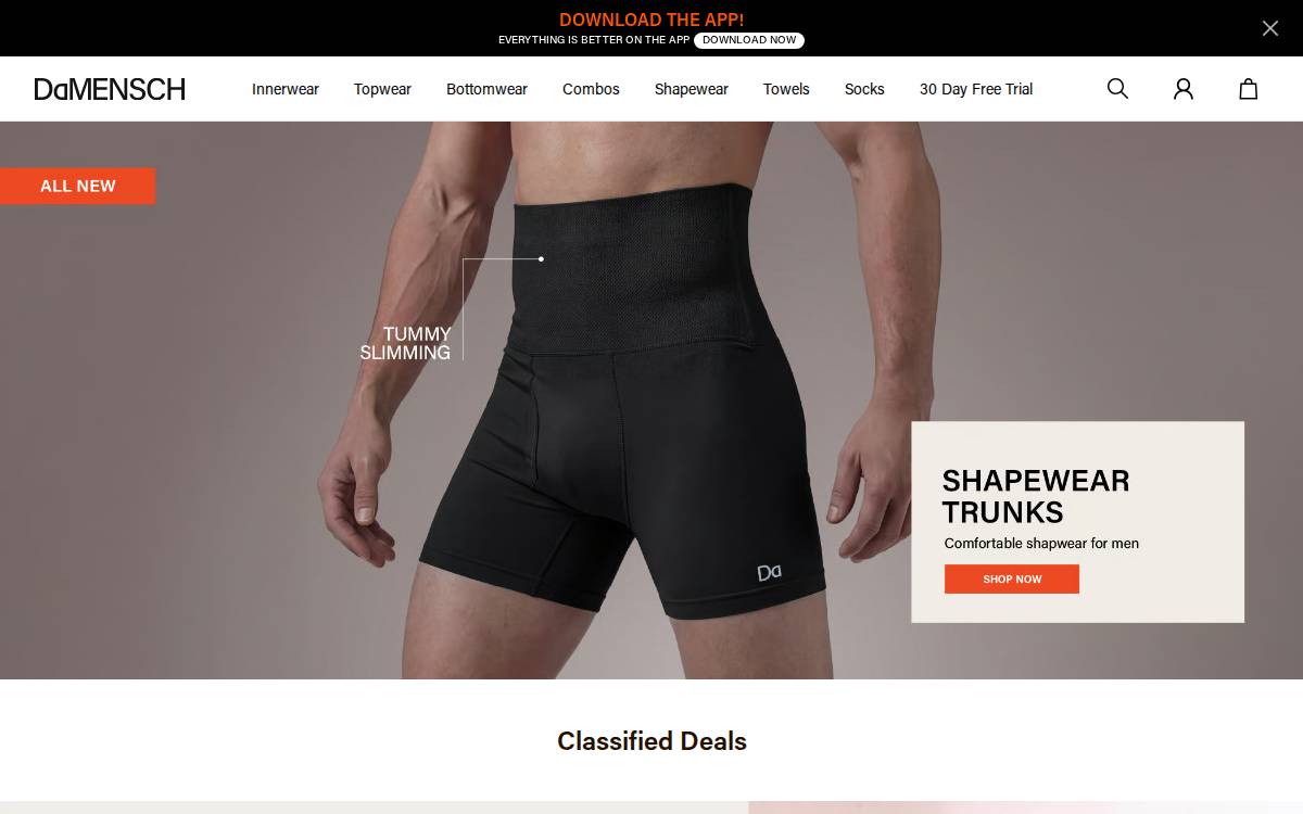 Damensch website preview