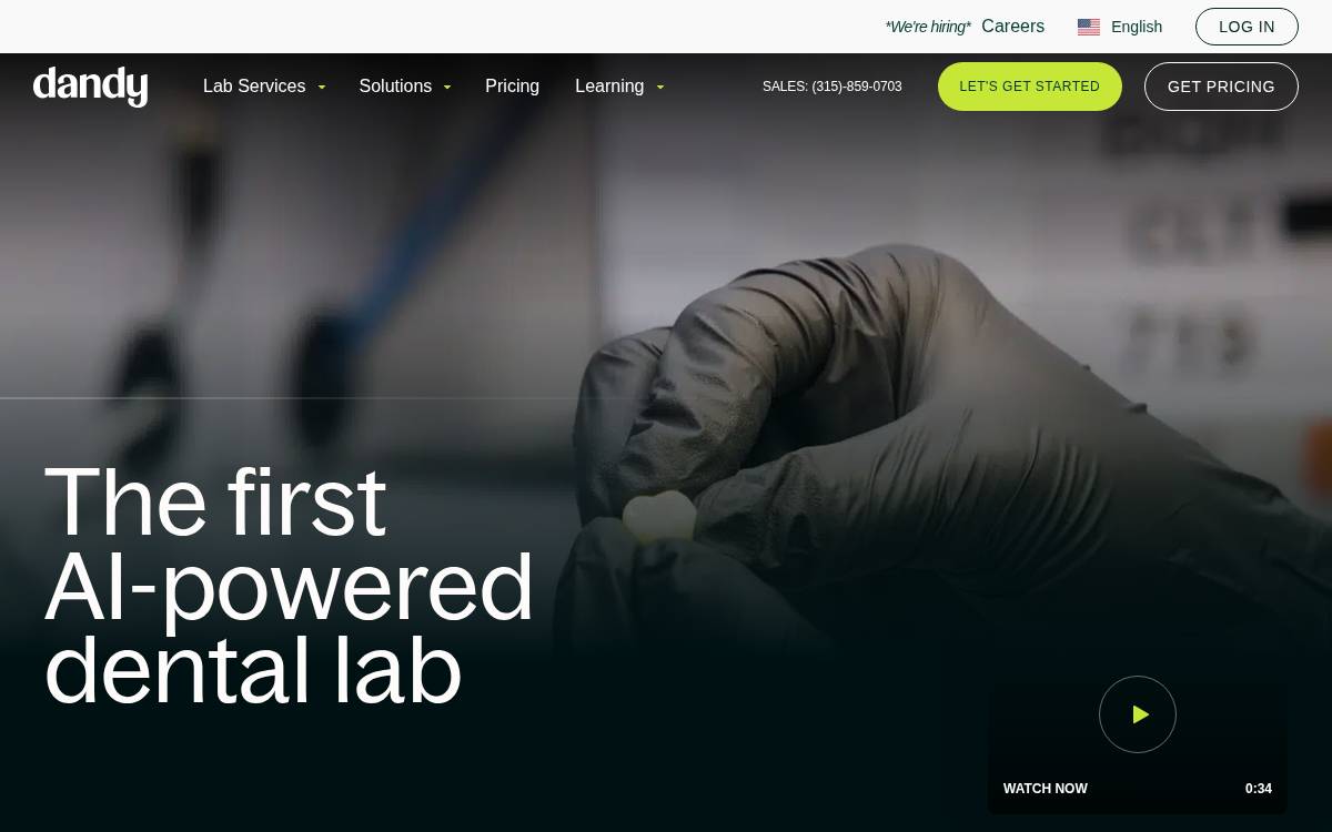 Dandy website preview