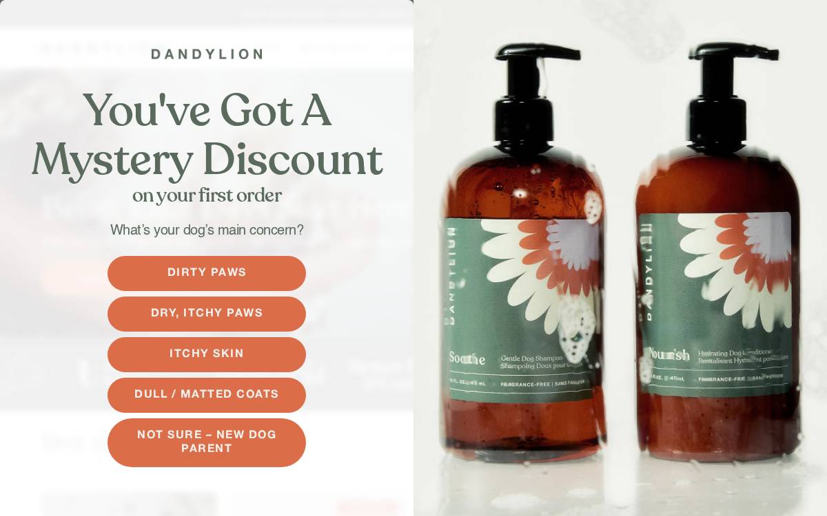 Dandylion website preview