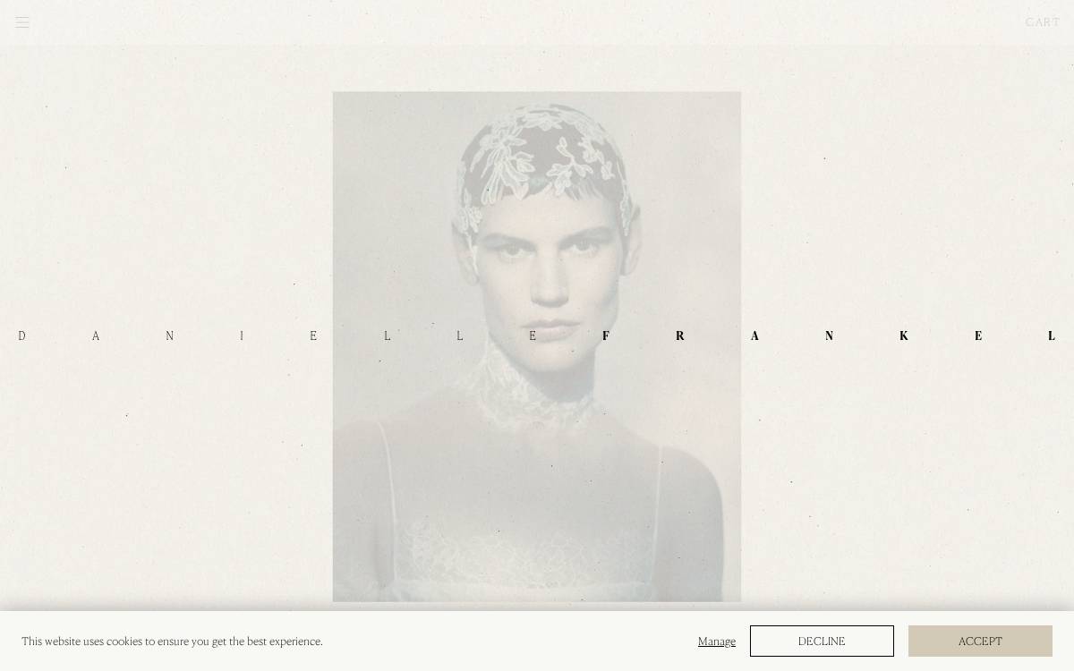 Daniellefrankelstudio website preview