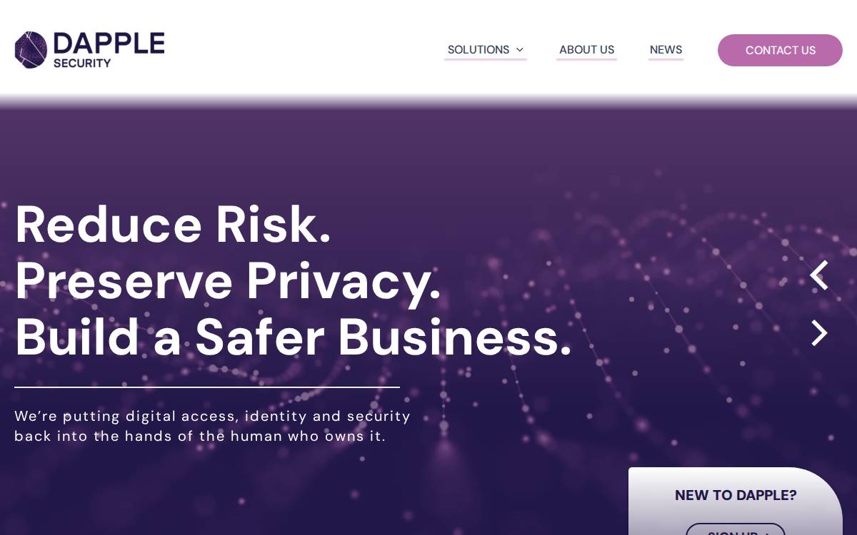 Dapple Security website preview