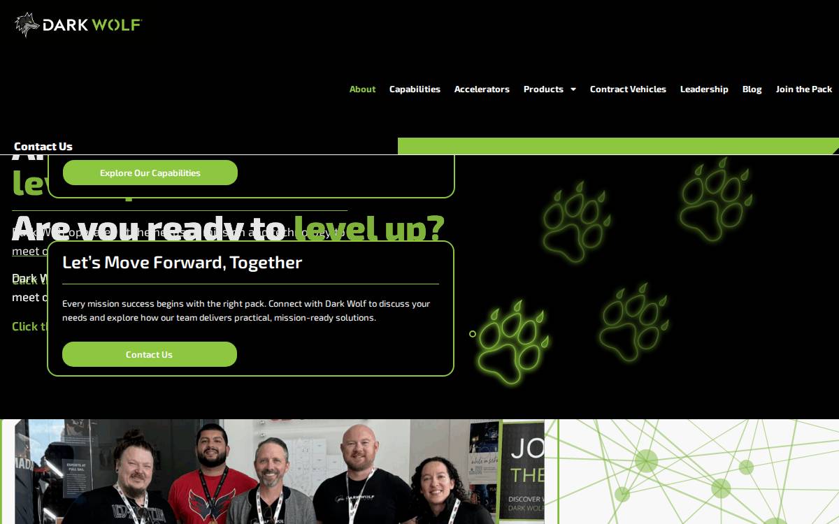 Dark Wolf Solutions website preview