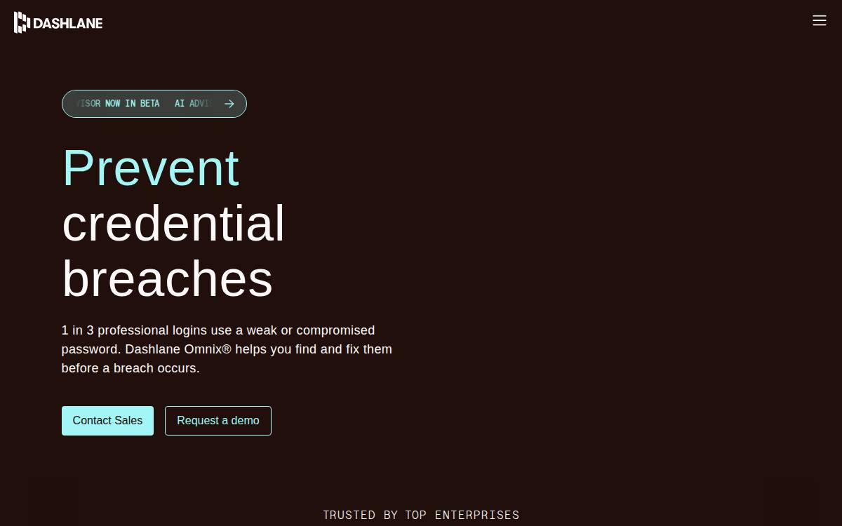 Dashlane website preview