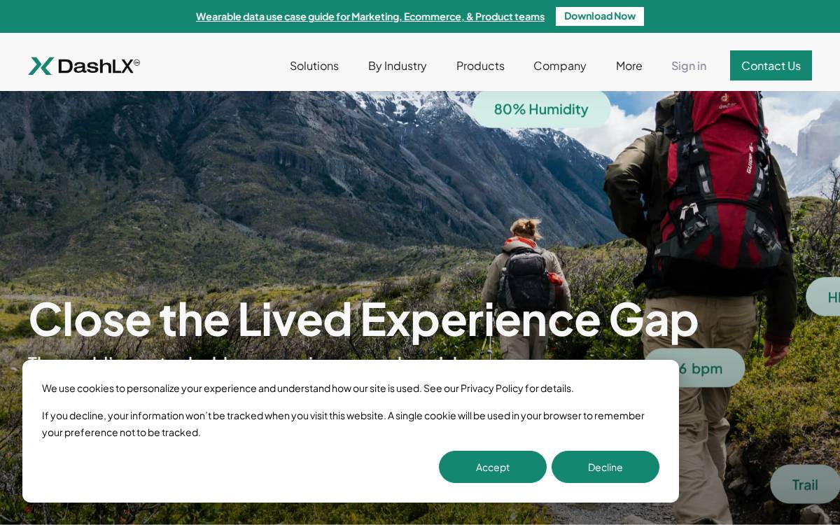 Dashlx website preview