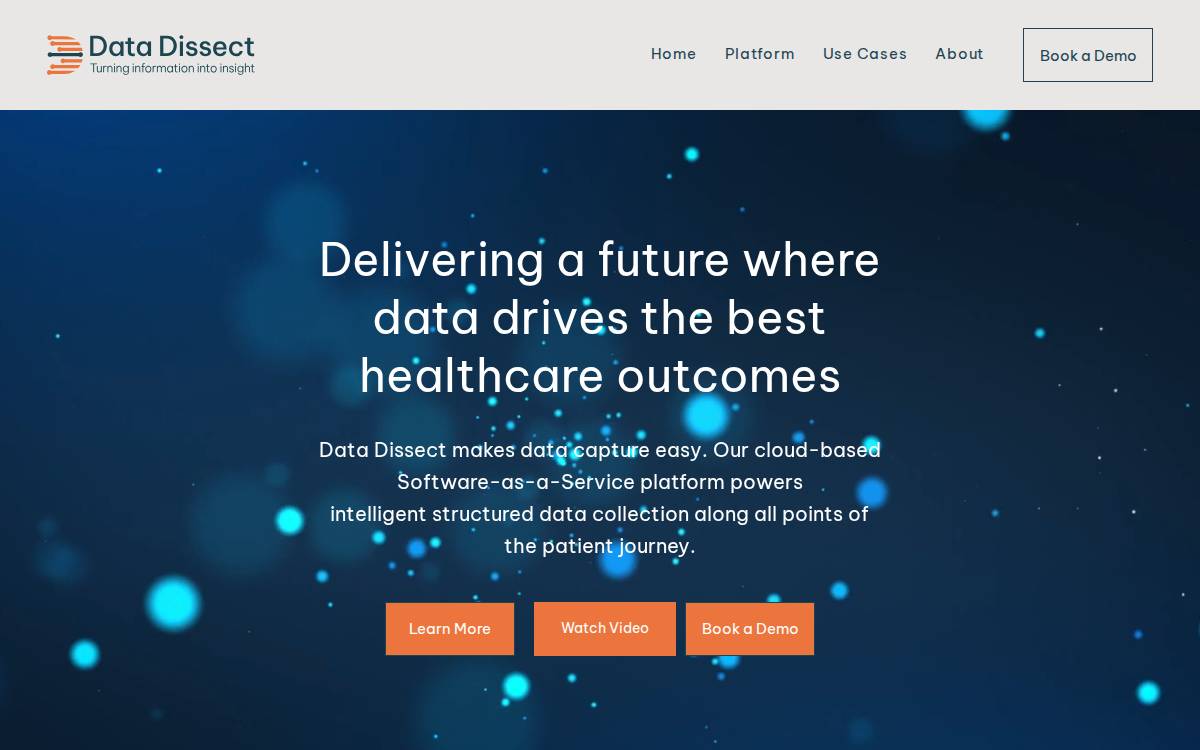 Data Dissect website preview