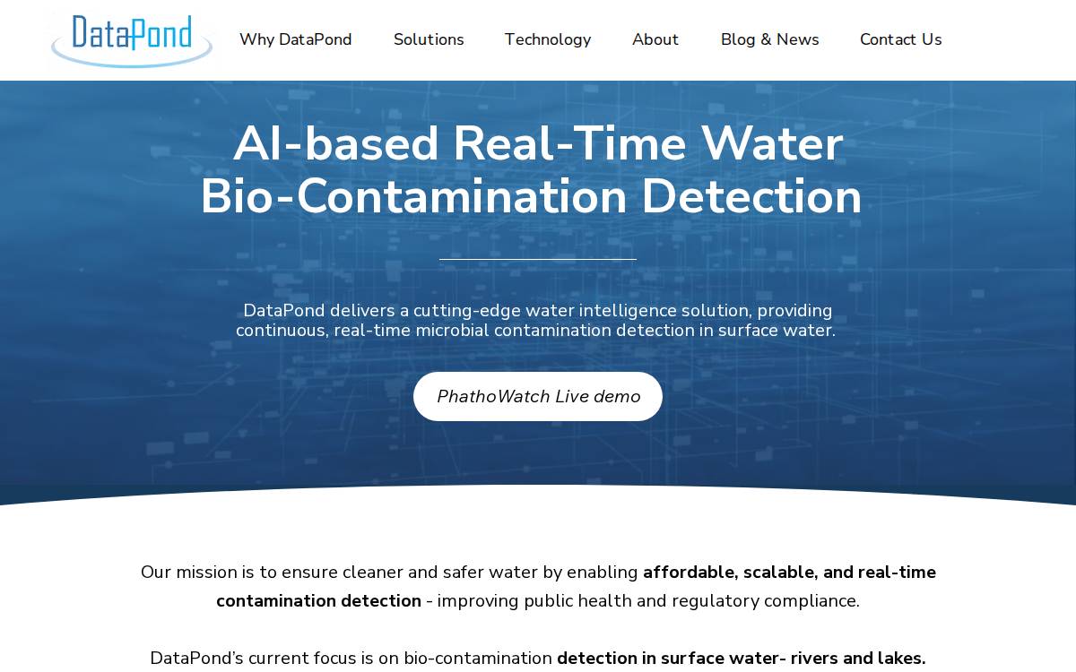 Data Pond website preview