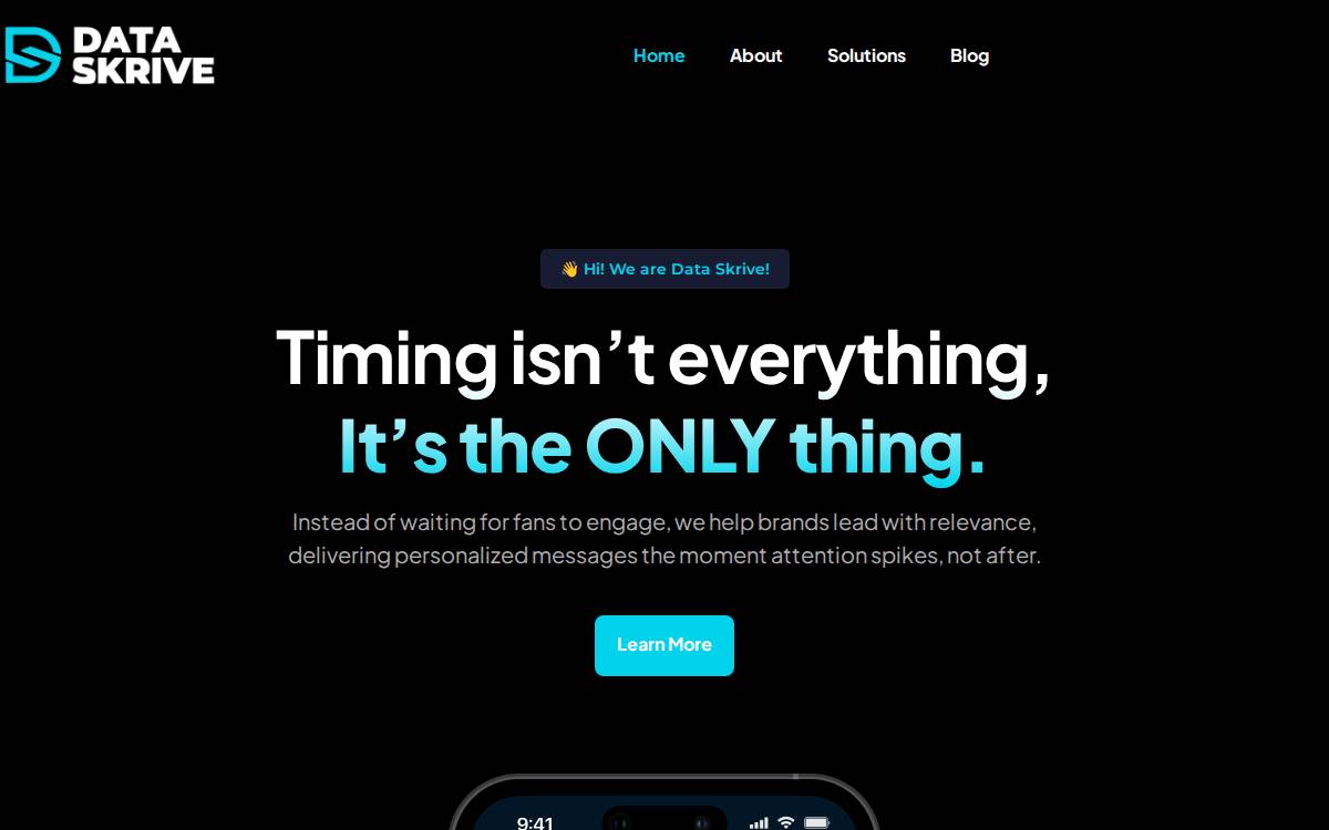 Data Skrive website preview