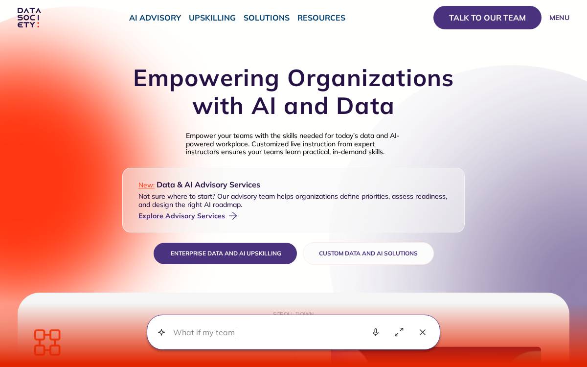 Data Society website preview
