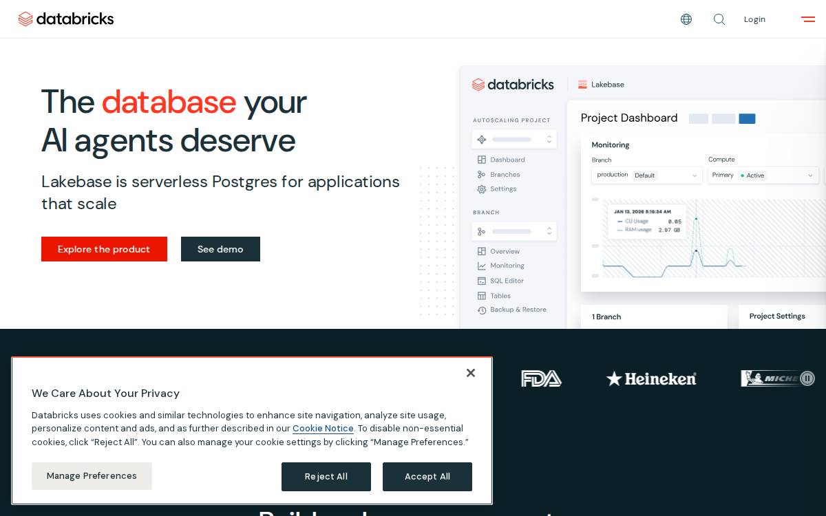 Databricks website preview