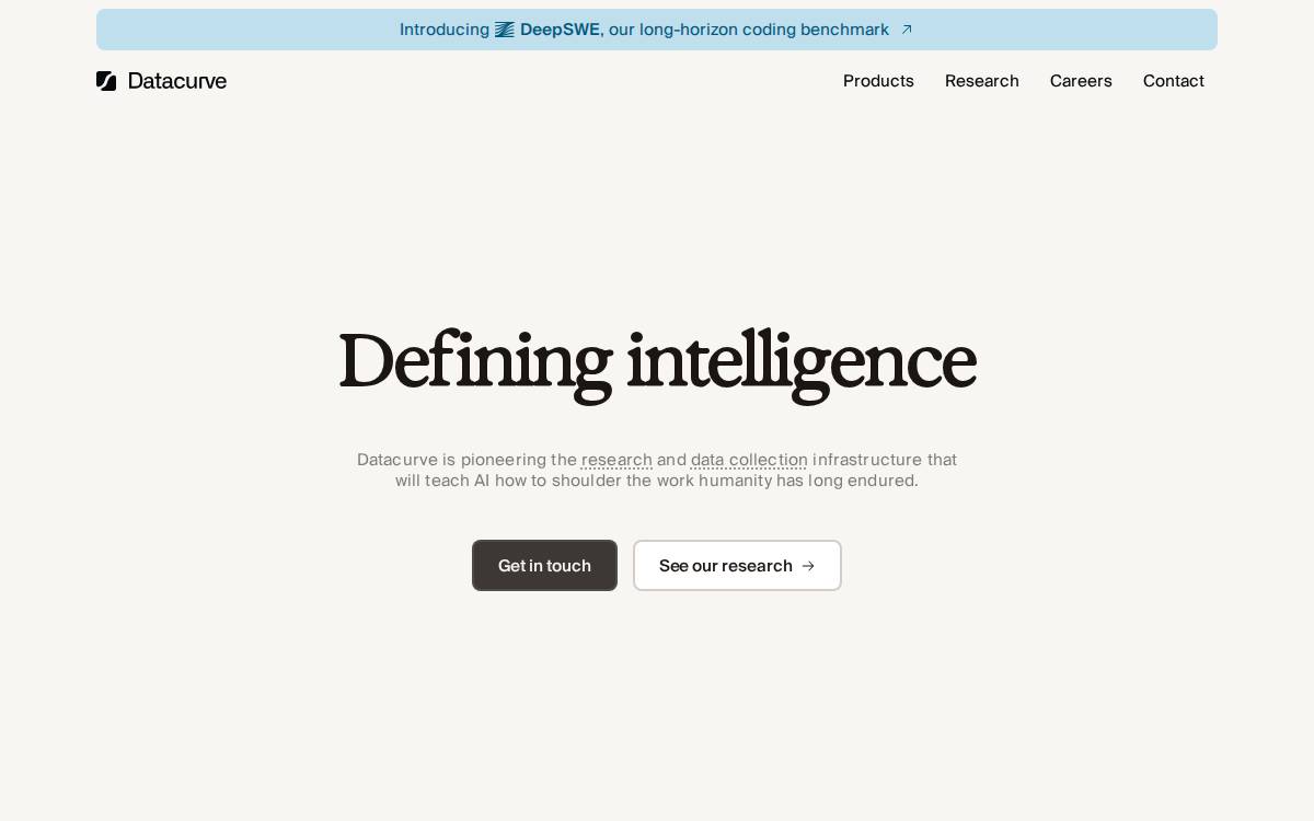 Datacurve website preview