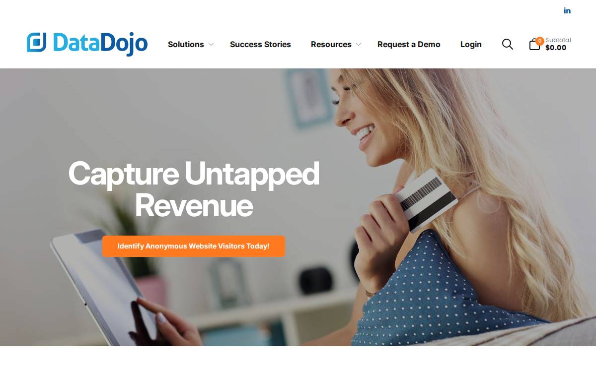 Datadojo website preview