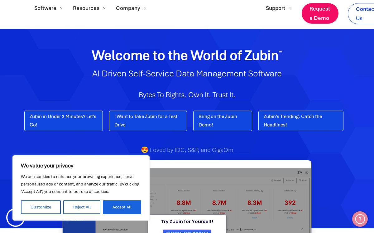 Datadynamicsinc website preview