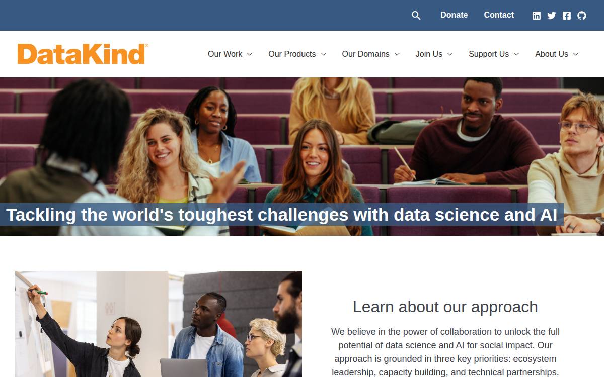 Datakind website preview