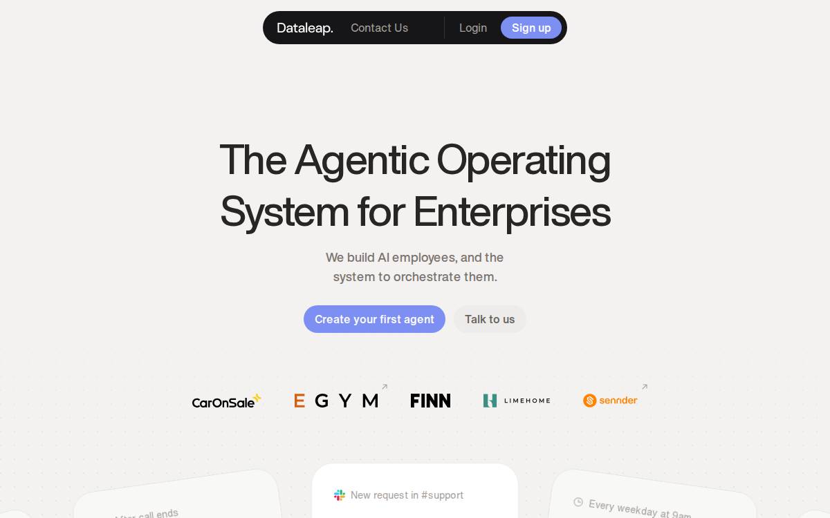 Dataleap website preview
