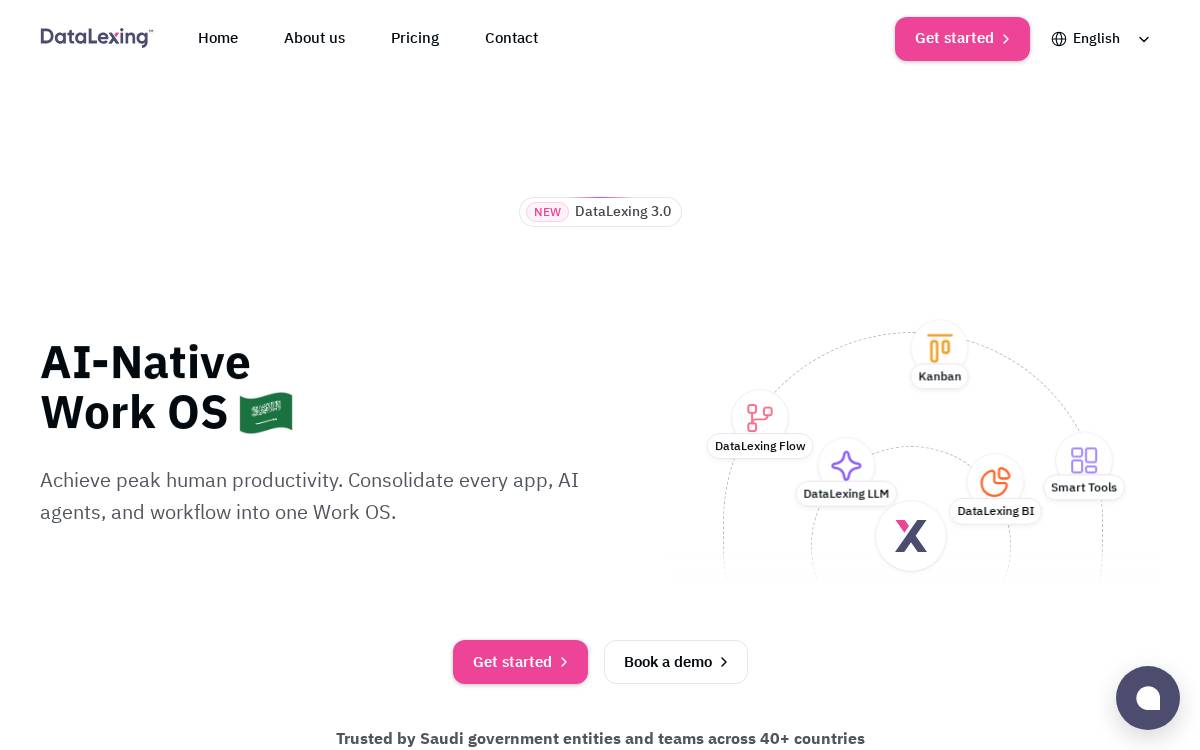 DataLexing website preview