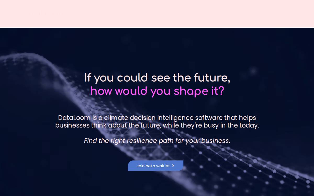 Dataloom website preview