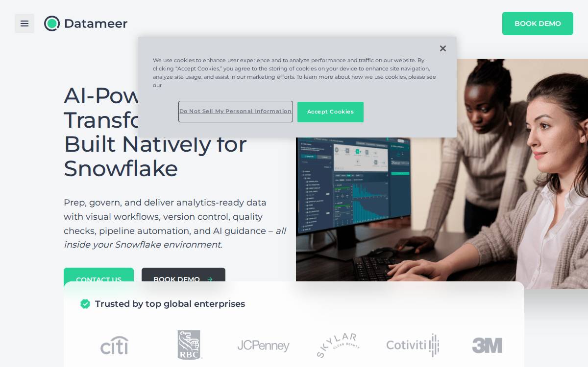 Datameer website preview