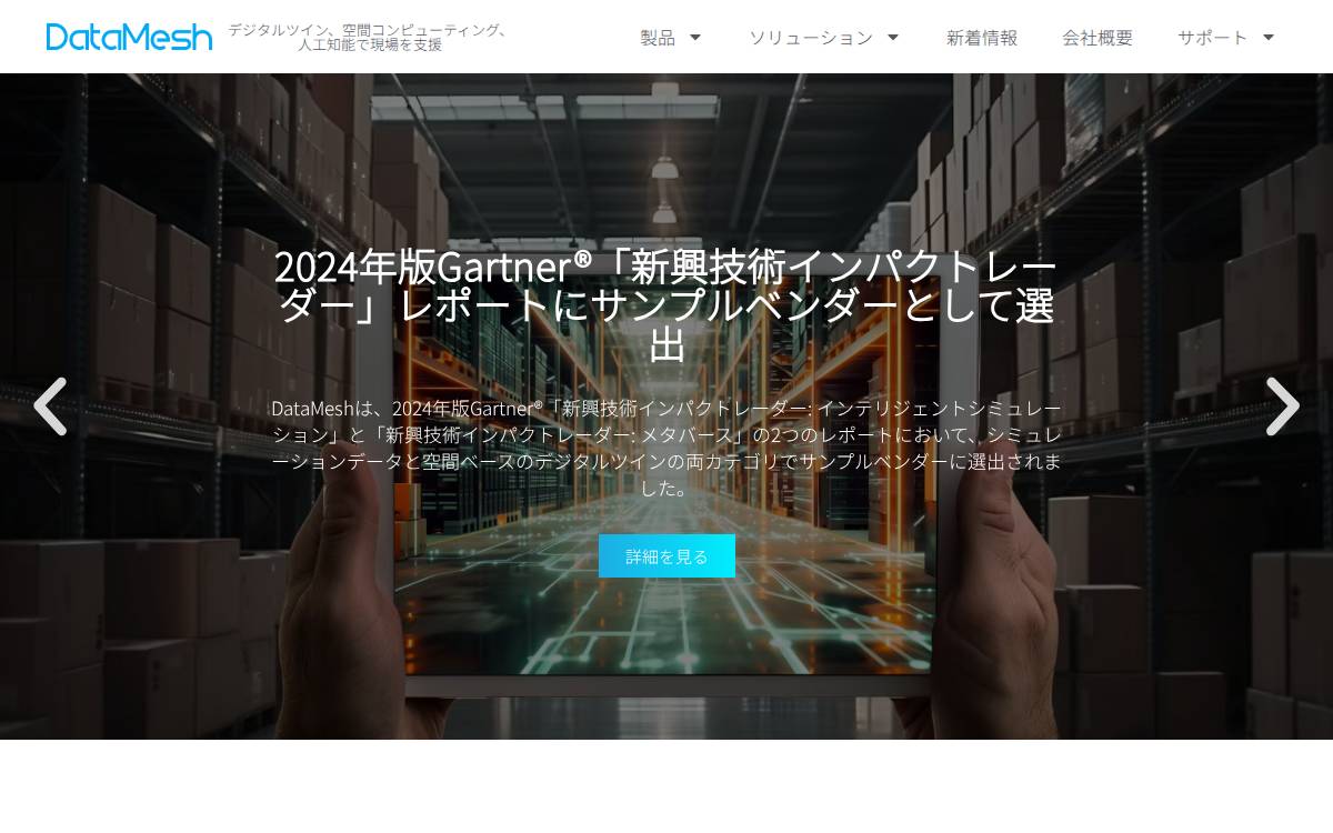 Datamesh website preview