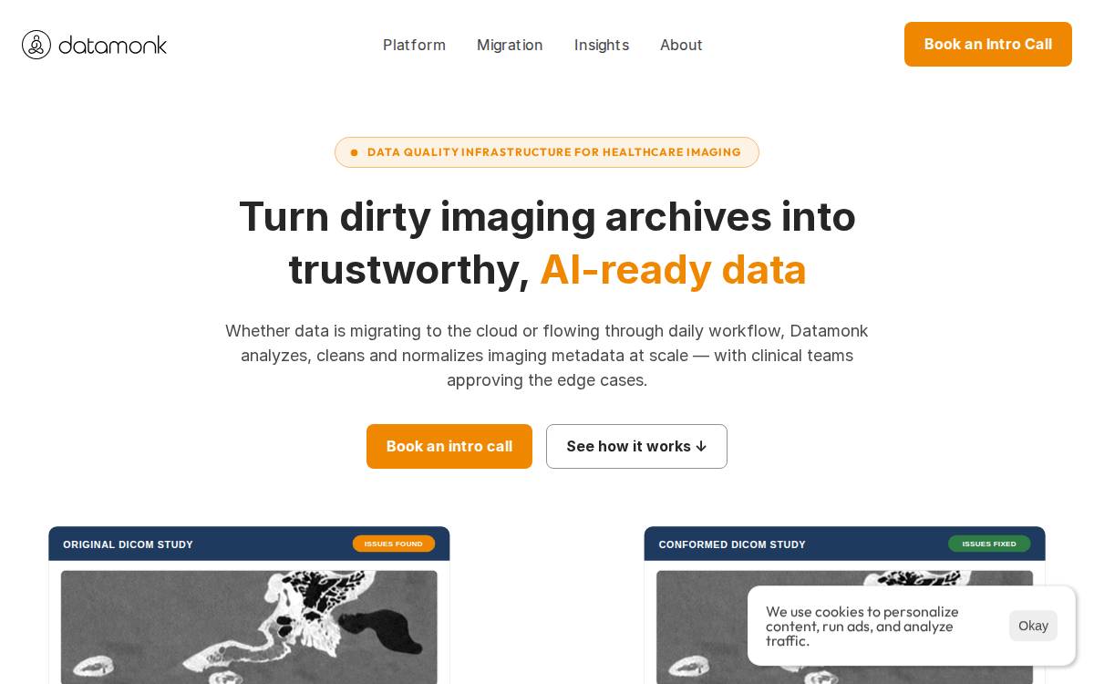 Datamonk website preview