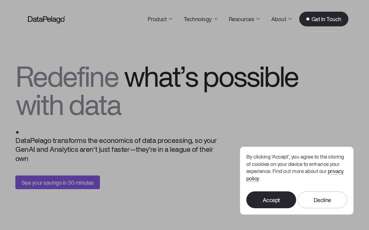 DataPelago, Inc. website preview