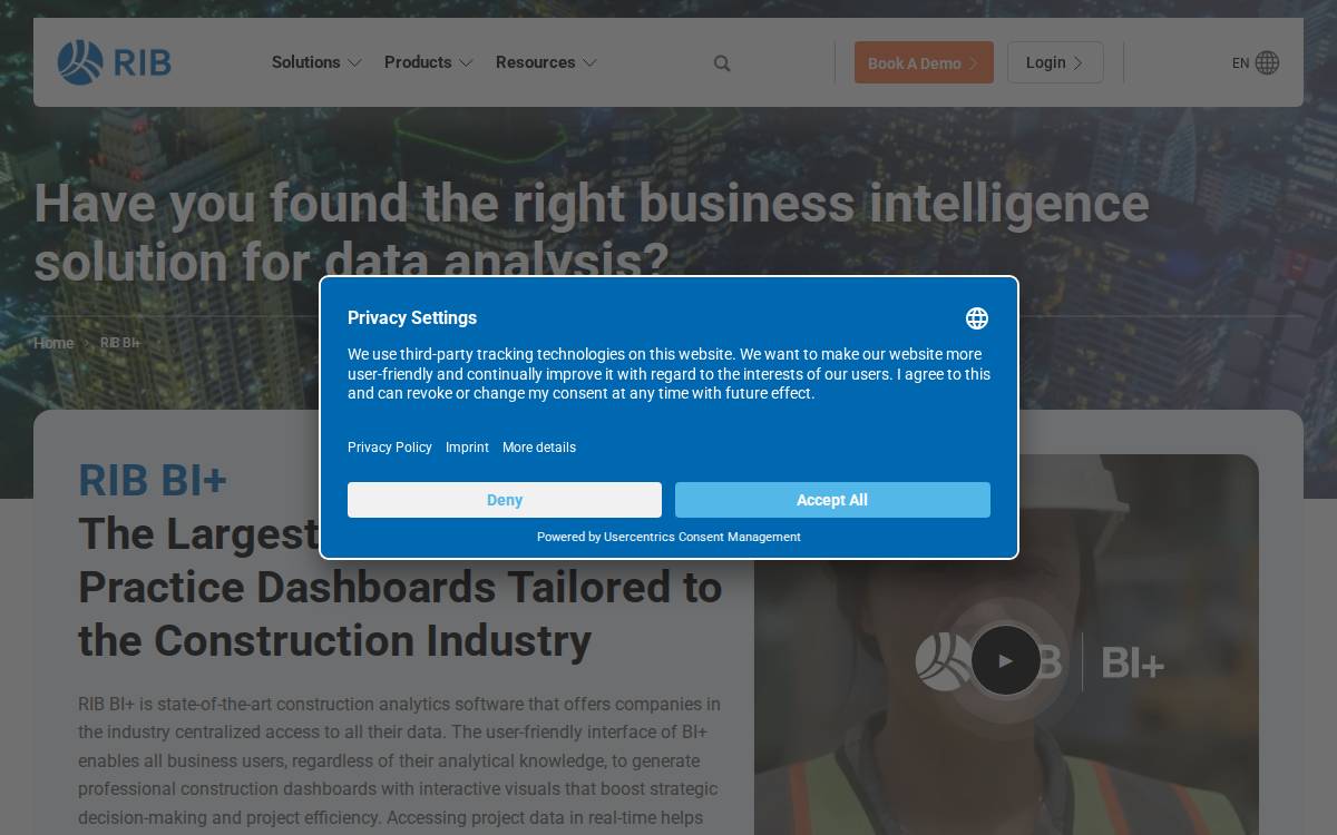 Datapine website preview