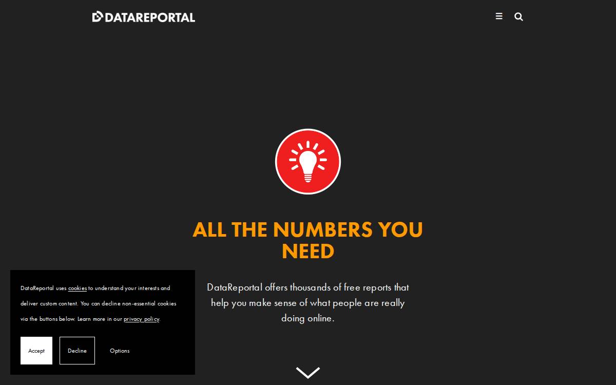 Datareportal website preview