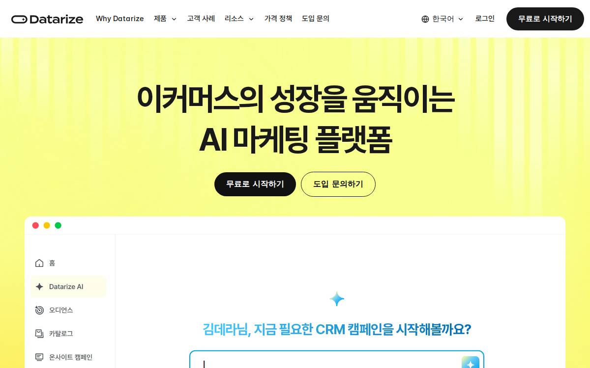 Datarize website preview