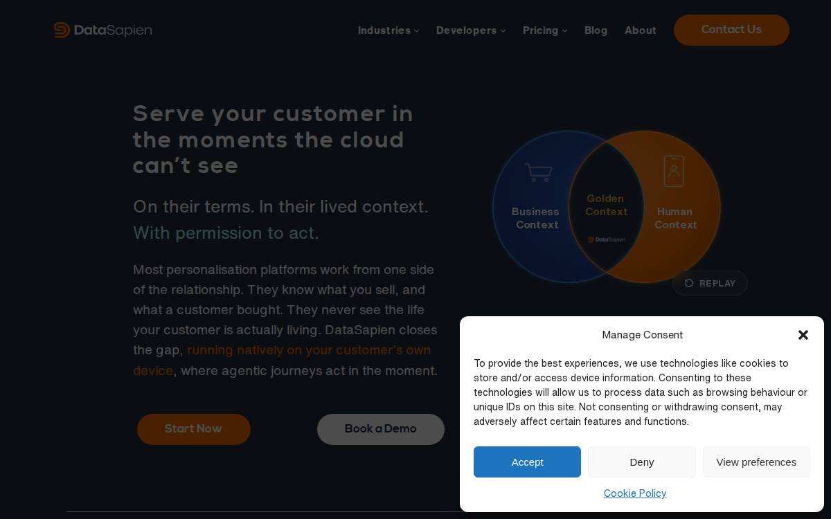 Datasapien website preview